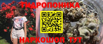 соль курить ск Сланцы