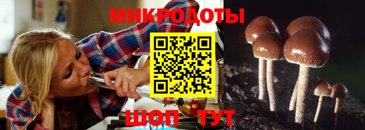 где найти наркотики  Вход с VPN  Псилоцибиновые грибы Psilocybine cubensis  Орск  Псилоцибиновые грибы Magic Shrooms 